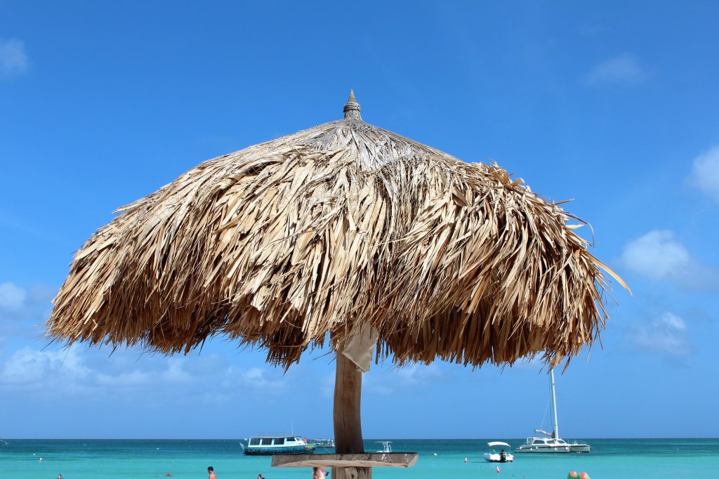 Tropical Travel Essentials