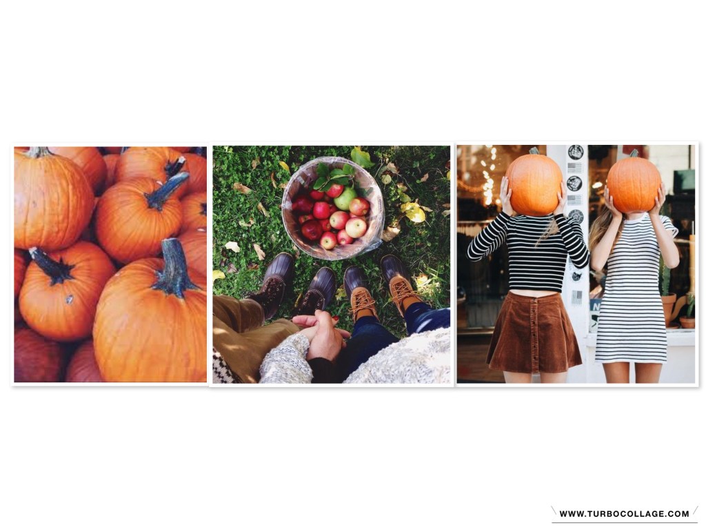 How to Prep for&nbsp;Fall