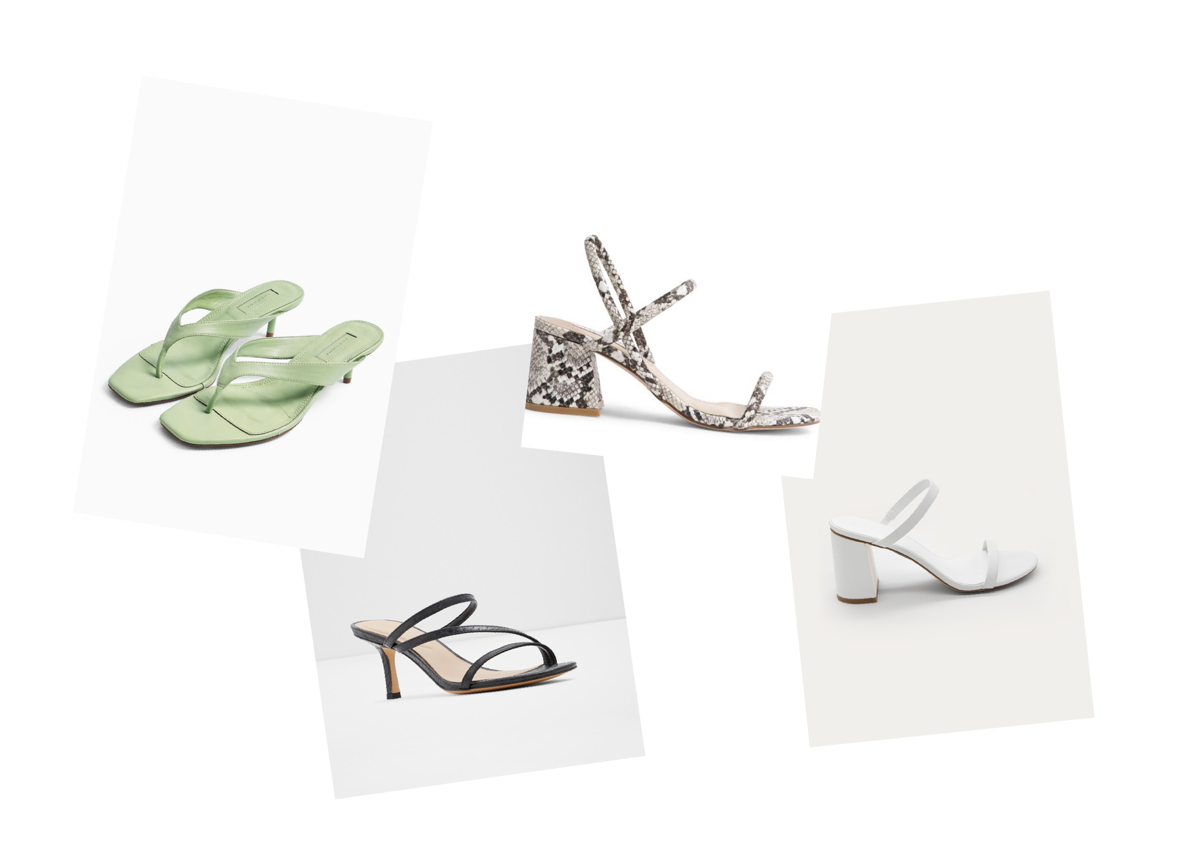 Collage created using TurboCollage software from www.TurboCollage.com