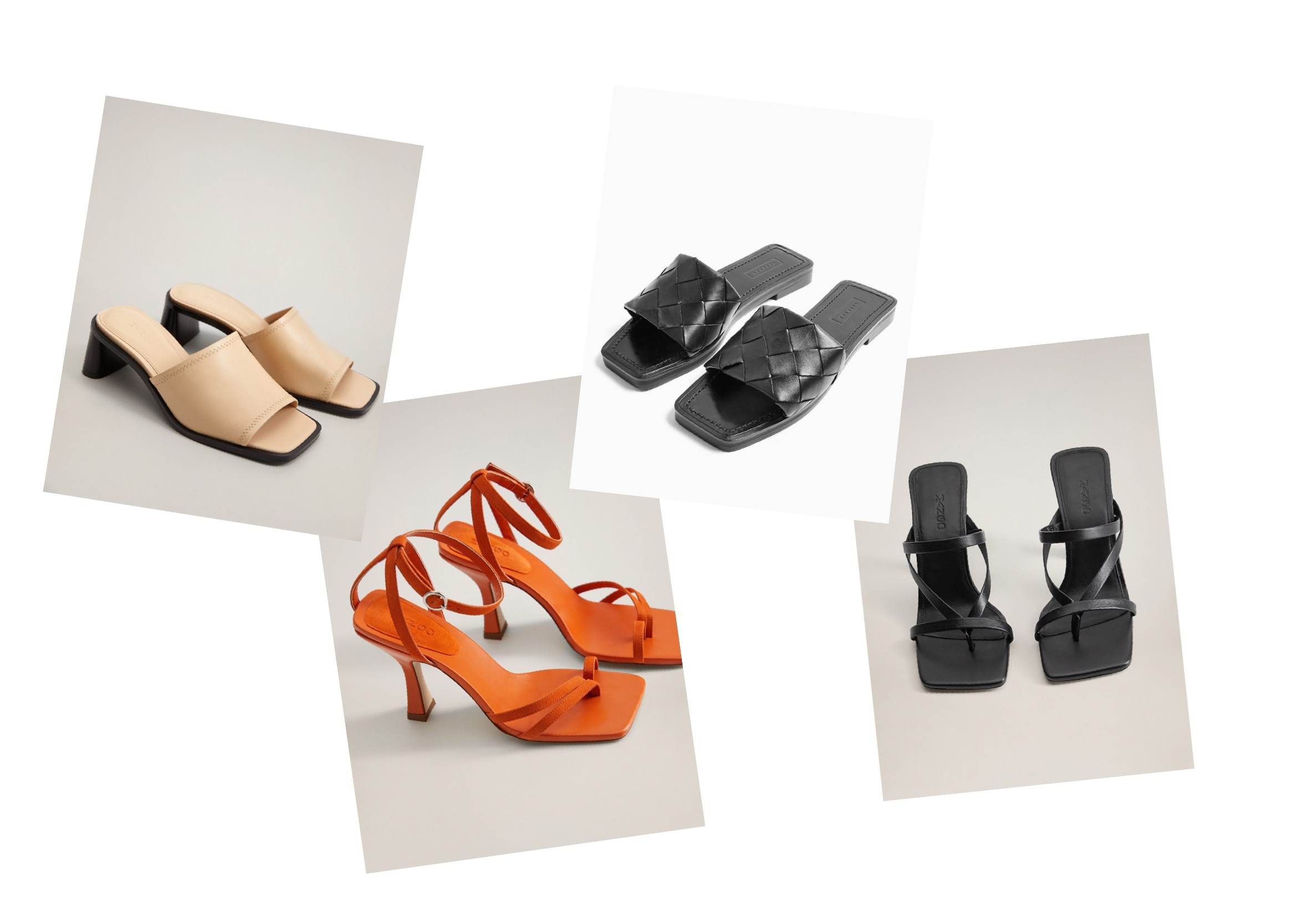 Collage created using TurboCollage software from www.TurboCollage.com