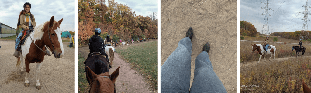 MY HORSEBACK RIDING&nbsp;EXPERIENCE